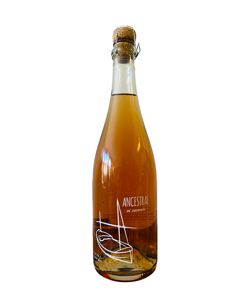 7103 Petit Celler, Ancestral, Rosé Schaumwein