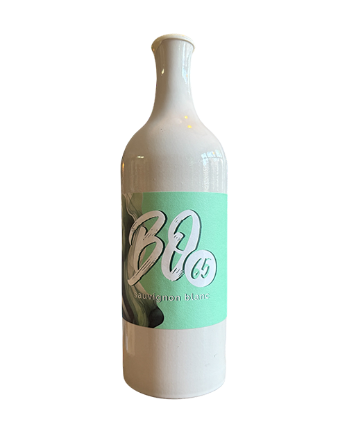 Bodega 65, Sauvignon Blanc, Vino Blanco, 2023