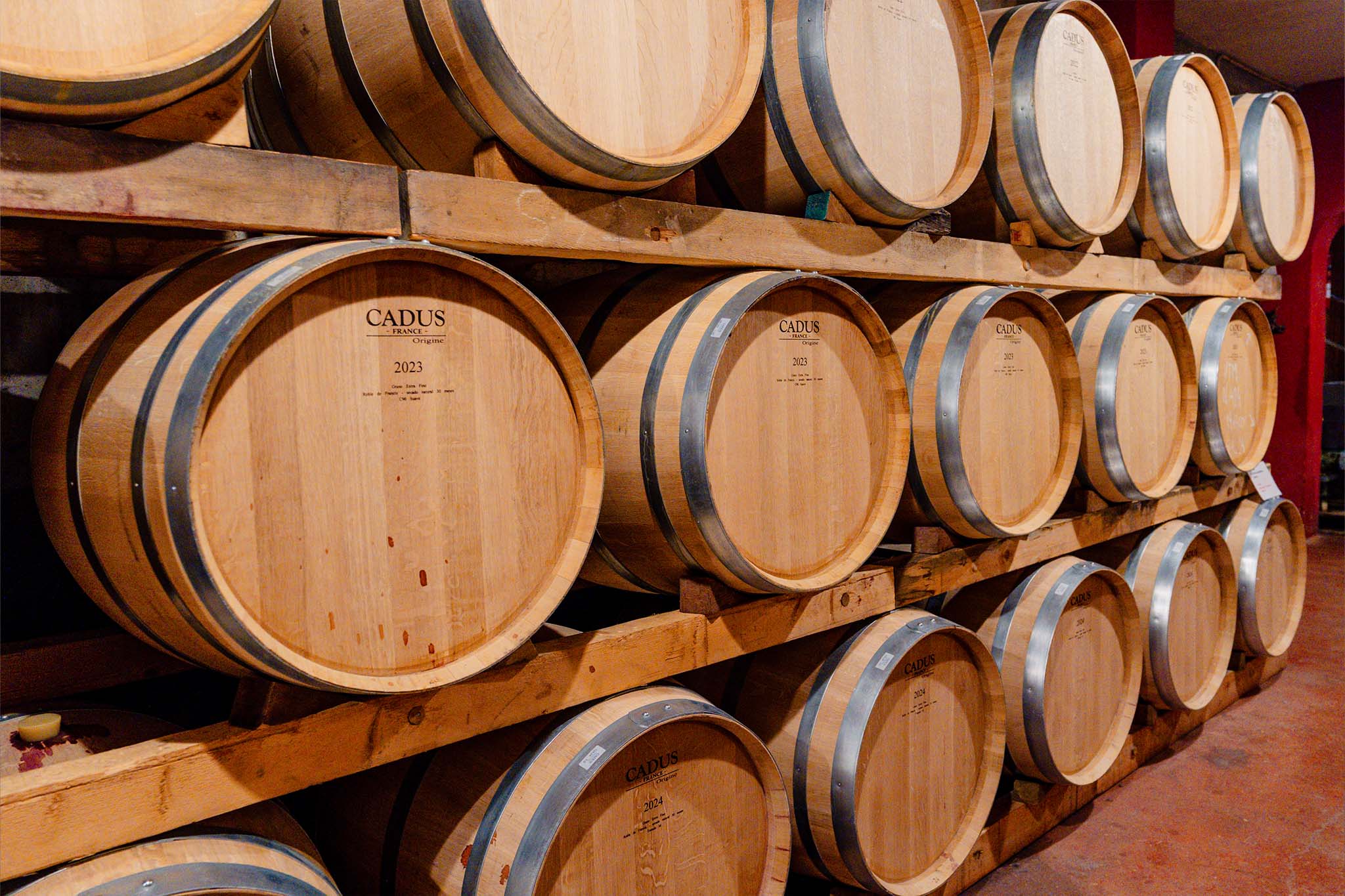 Mallorca Vino - Bodegas