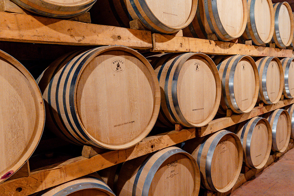 Bodegas - Mallorca Vino