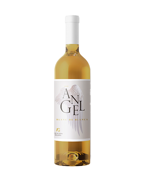Angel, Blanc de Blanca,  Vino Blanco, 2024