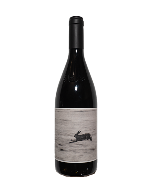 4 Kilos 2020, Vino Tinto