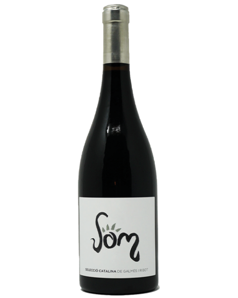 Galmés i Ribot, Som Selecció Catalina 2014