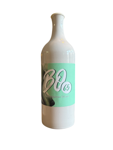 Bodega 65, Sauvignon Blanc 2023, Weißwein